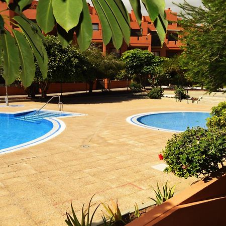 Alquilaencanarias El Medano Sotavento, Great Terrace And Beach エクステリア 写真