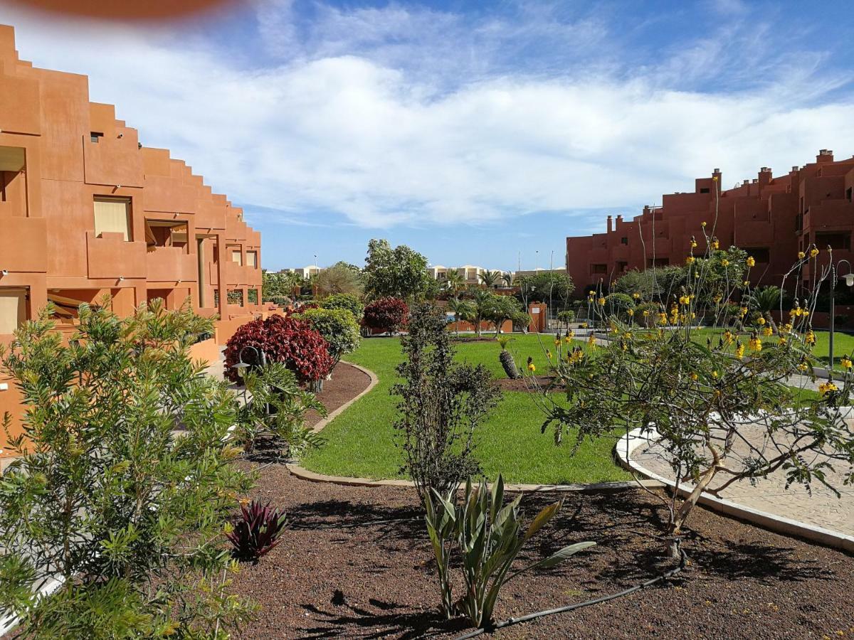 Alquilaencanarias El Medano Sotavento, Great Terrace And Beach エクステリア 写真